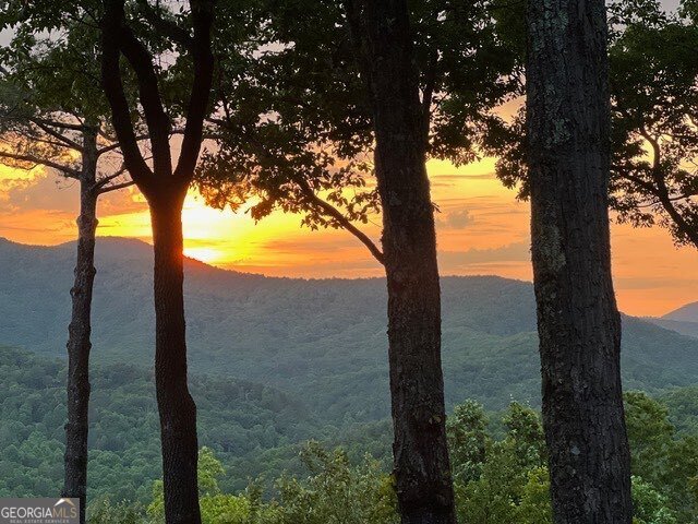 254 Leatherwood Mountain Road Ellijay - Photo 88