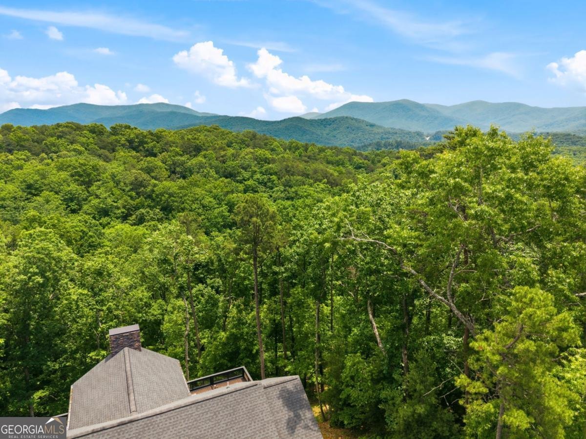 254 Leatherwood Mountain Road Ellijay - Photo 93