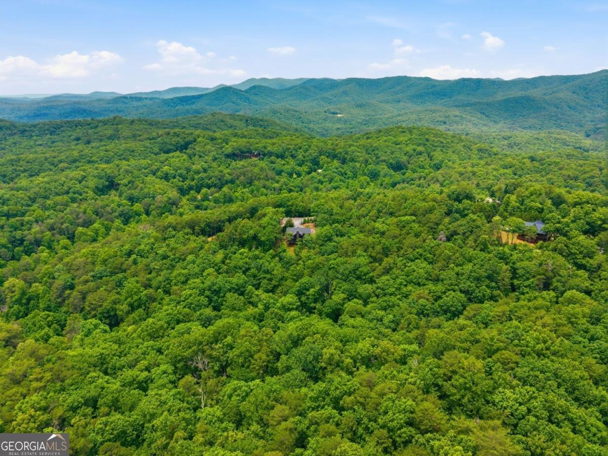254 Leatherwood Mountain Road Ellijay - Photo 94