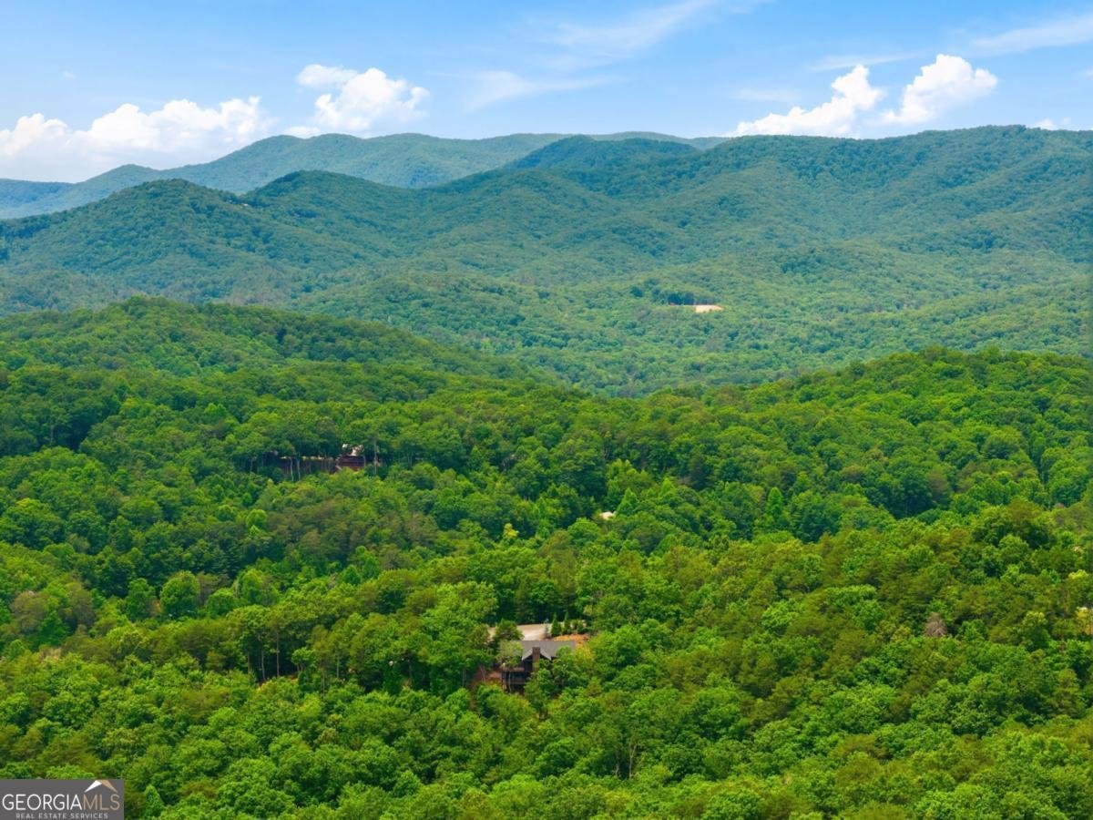 254 Leatherwood Mountain Road Ellijay - Photo 95