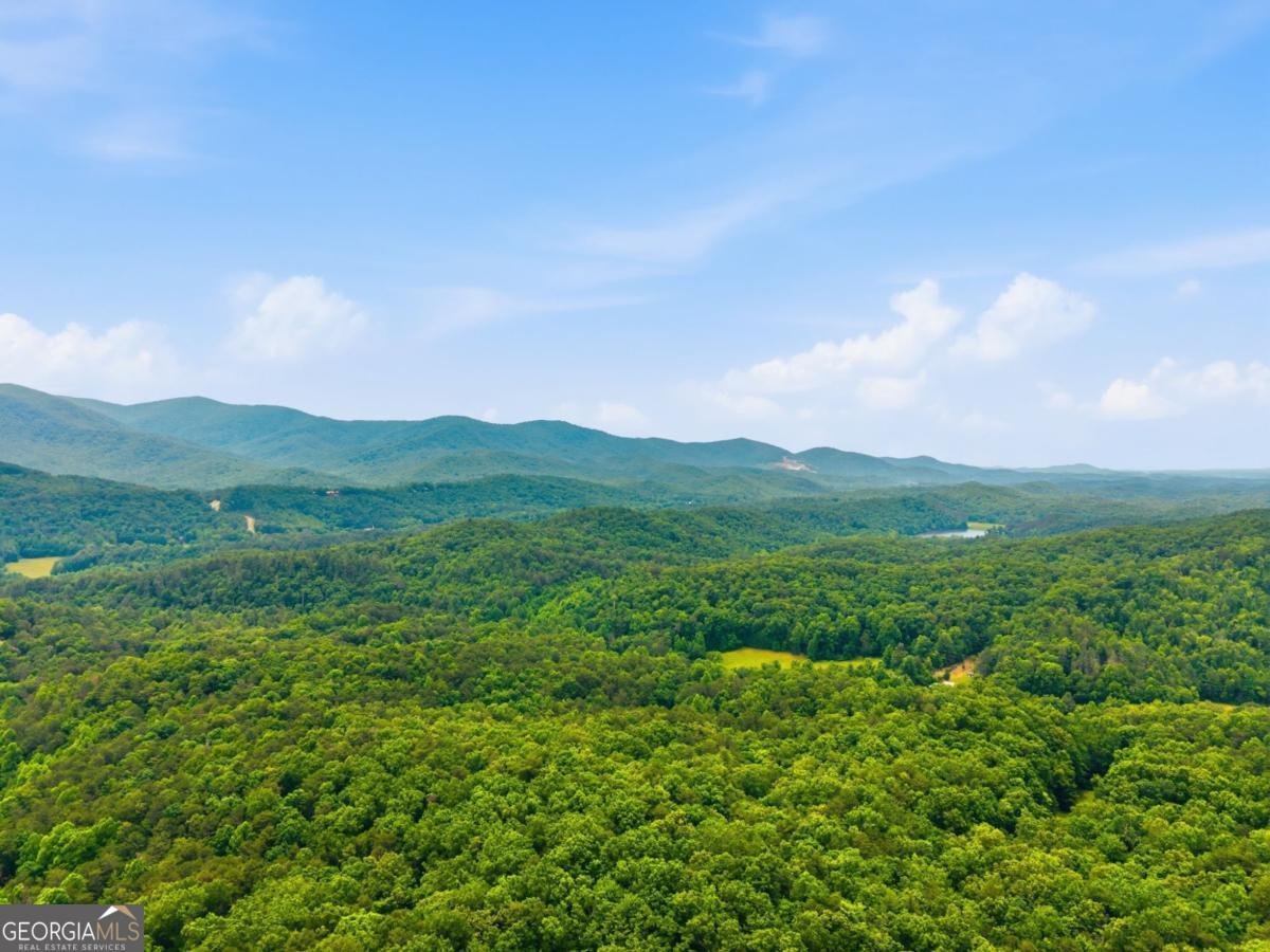254 Leatherwood Mountain Road Ellijay - Photo 96
