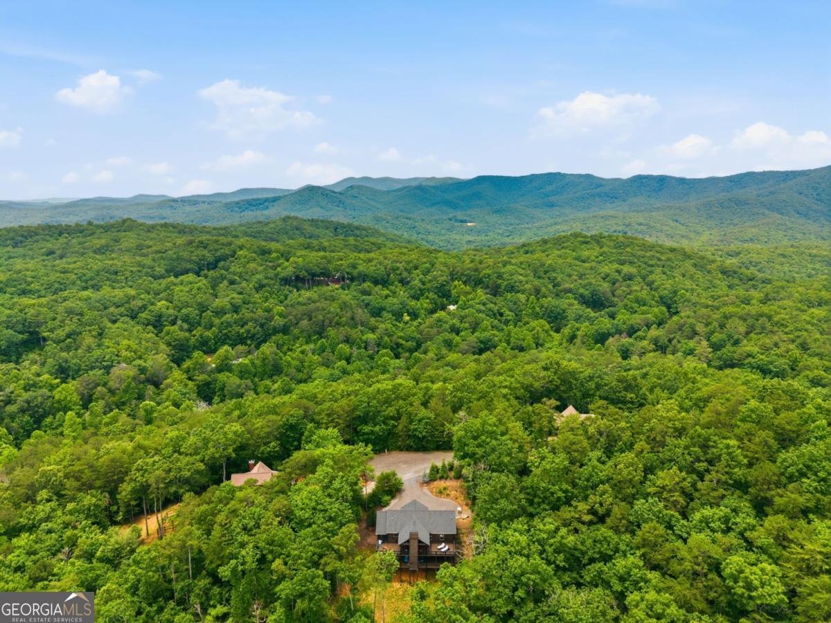 254 Leatherwood Mountain Road Ellijay - Photo 97