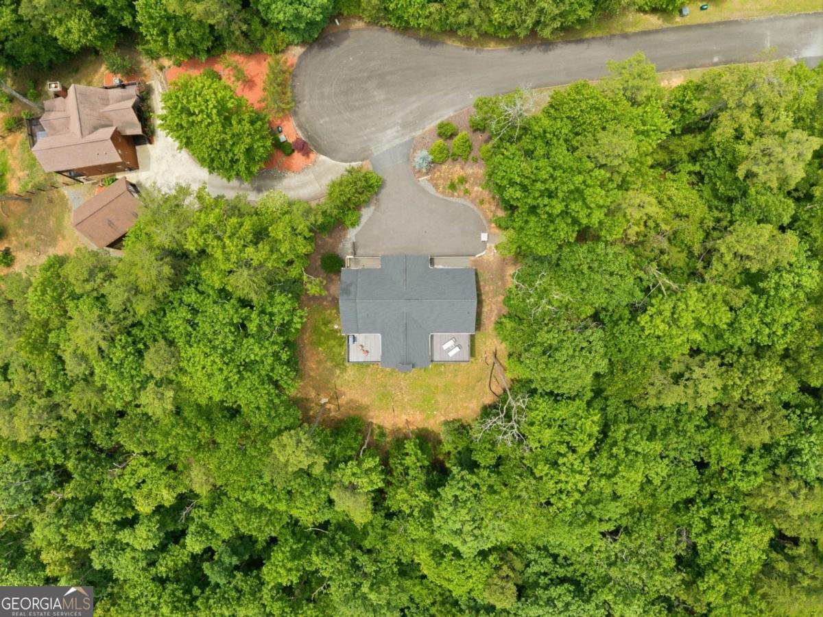 254 Leatherwood Mountain Road Ellijay - Photo 98
