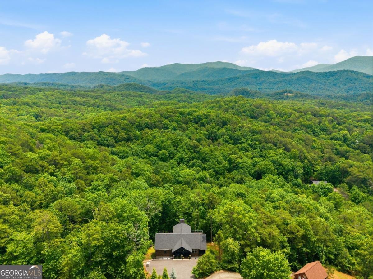 254 Leatherwood Mountain Road Ellijay - Photo 99