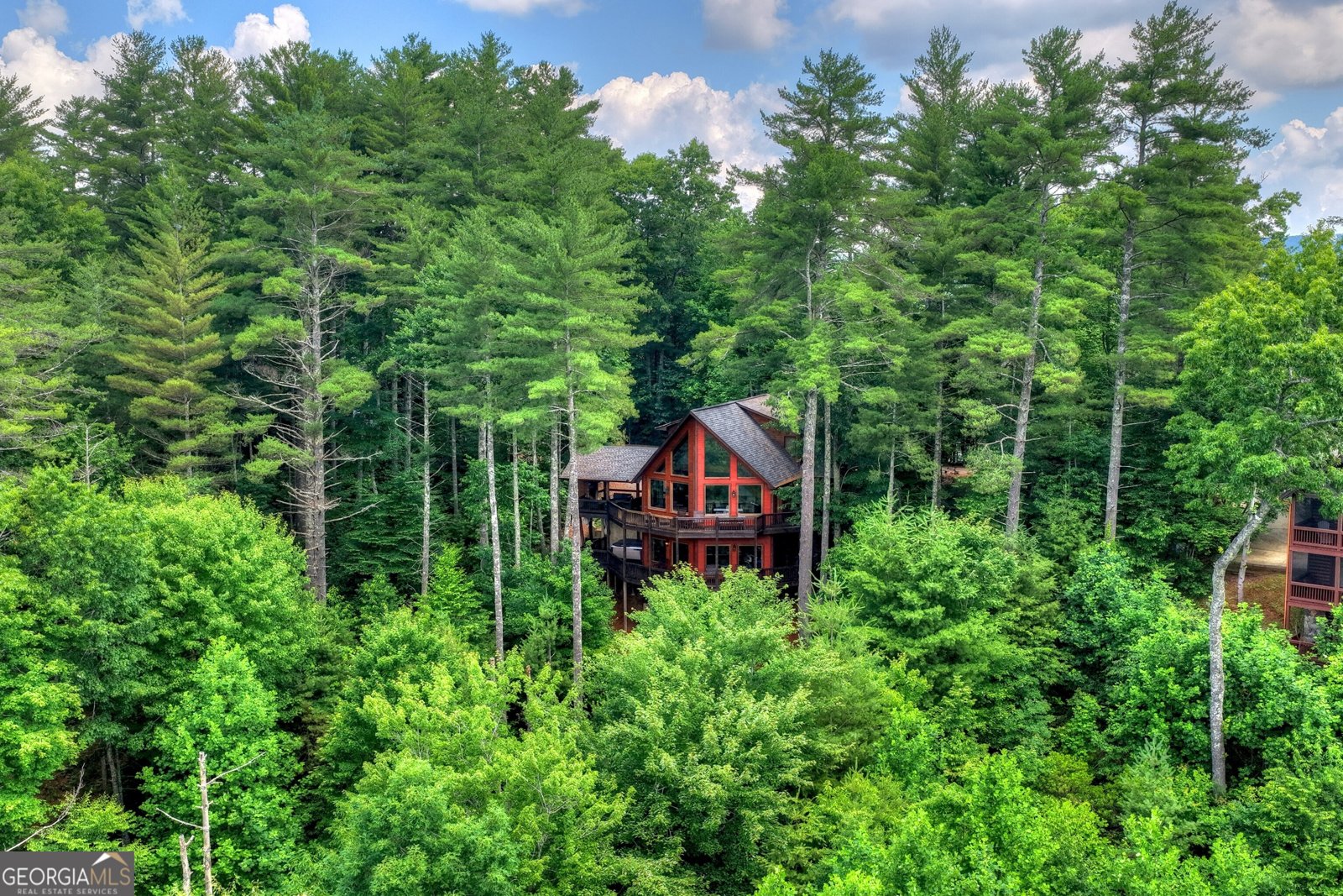 255 Indian Ridge Road Epworth - Photo 57