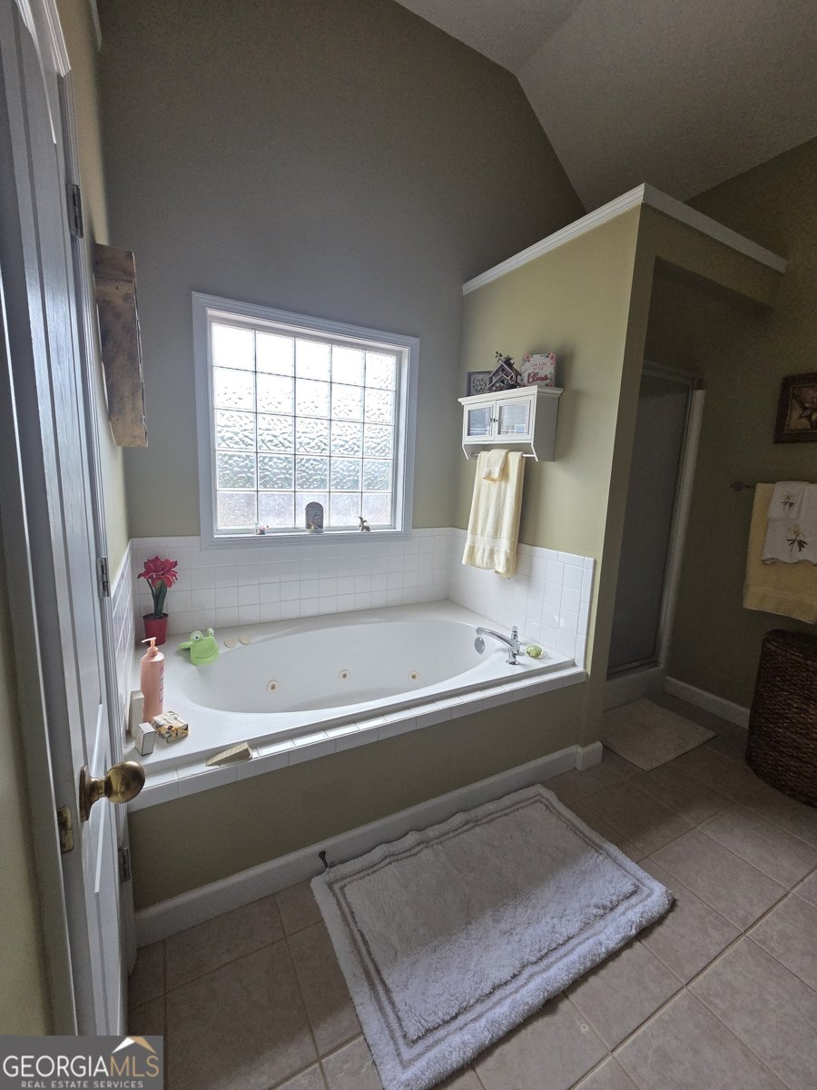 250 Rock Mill Trail Senoia - Photo 14