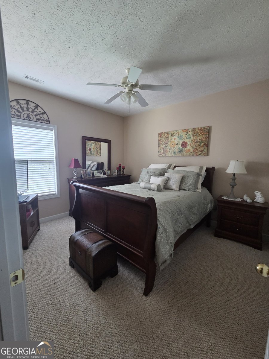 250 Rock Mill Trail Senoia - Photo 37