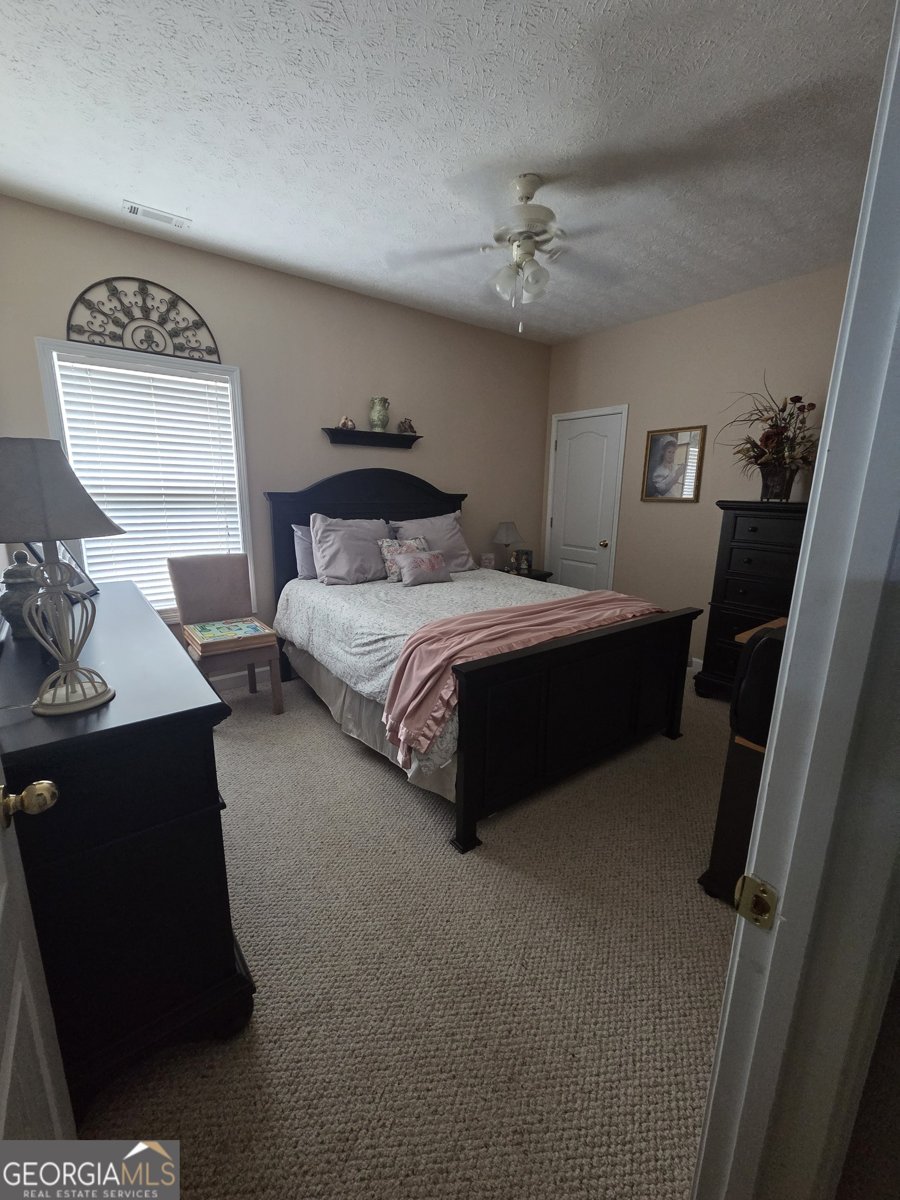 250 Rock Mill Trail Senoia - Photo 38