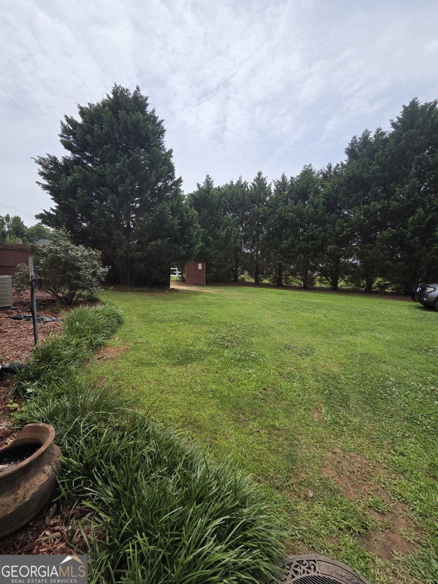 250 Rock Mill Trail Senoia - Photo 53