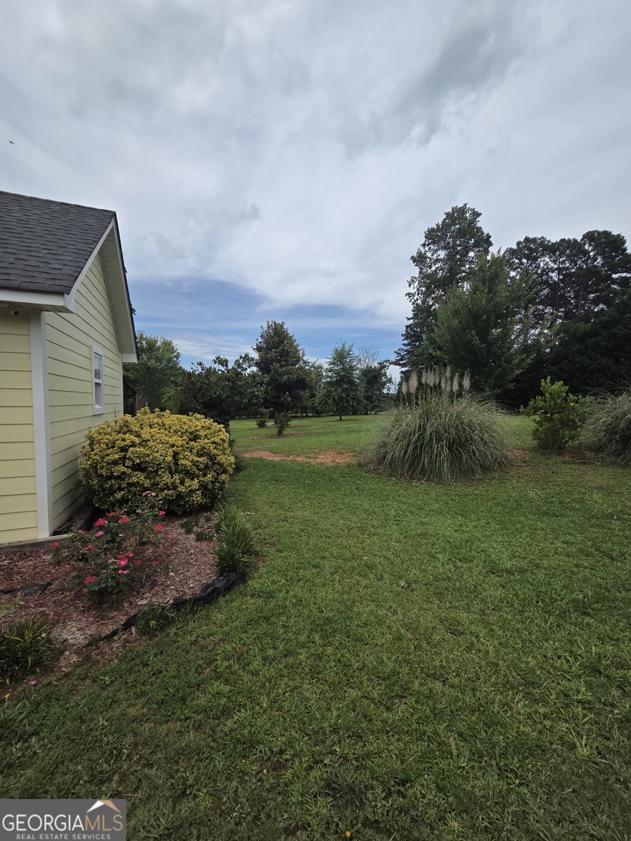 250 Rock Mill Trail Senoia - Photo 55