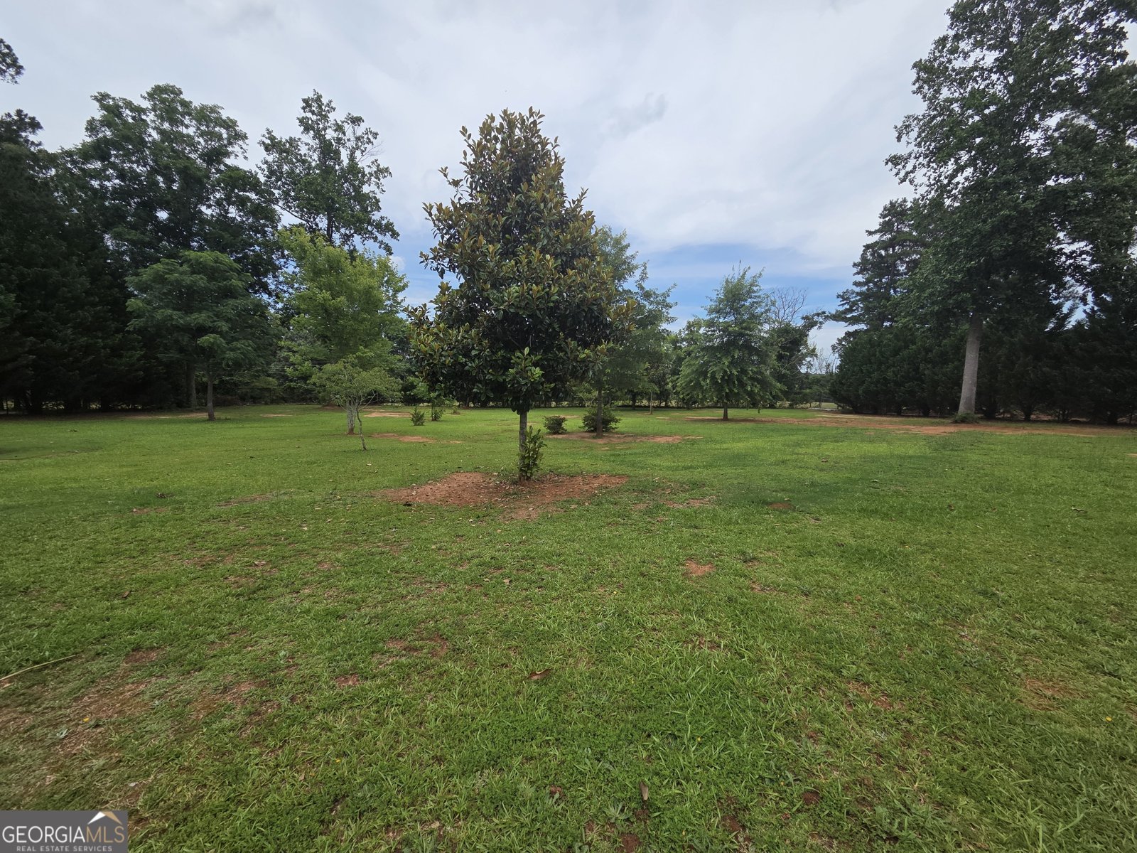 250 Rock Mill Trail Senoia - Photo 56