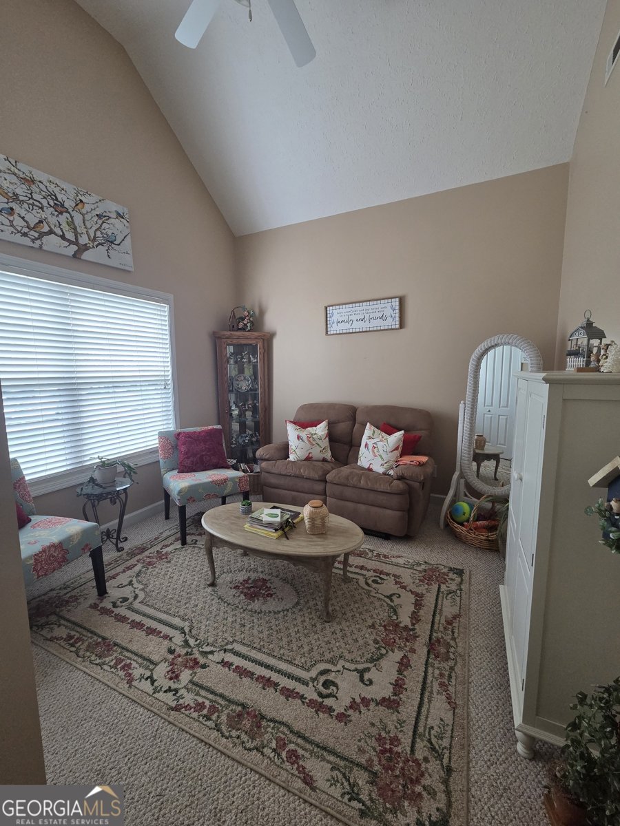 250 Rock Mill Trail Senoia - Photo 8