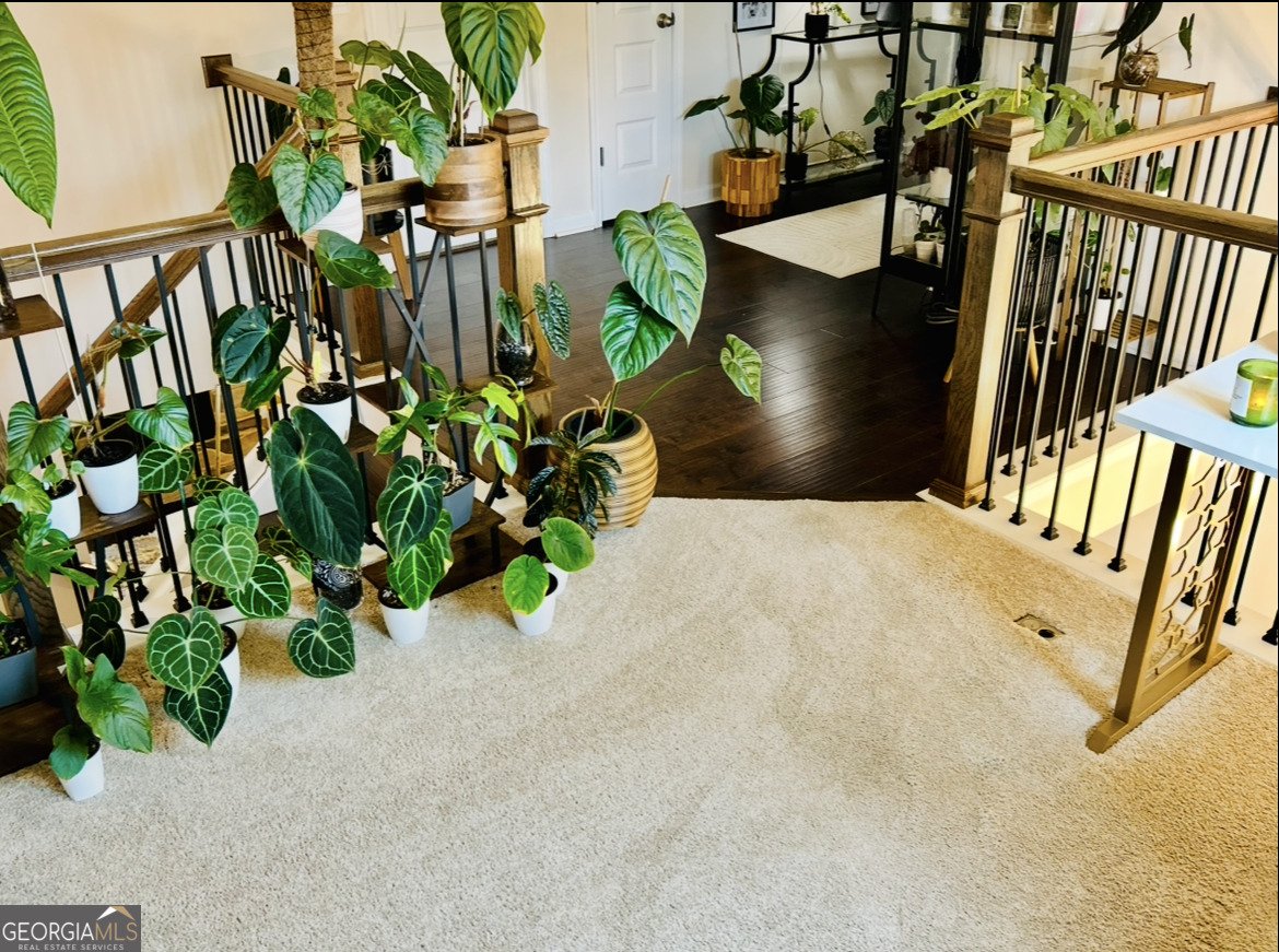 330 Darien Drive Senoia - Photo 75