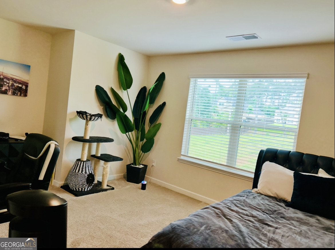 330 Darien Drive Senoia - Photo 81