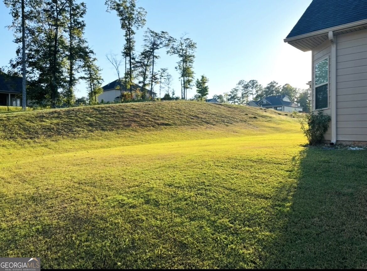 330 Darien Drive Senoia - Photo 88