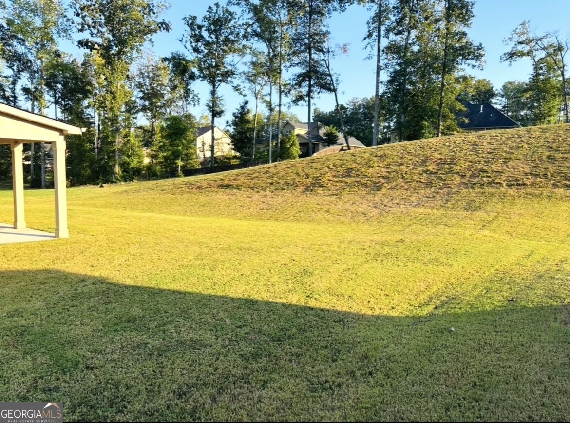 330 Darien Drive Senoia - Photo 89