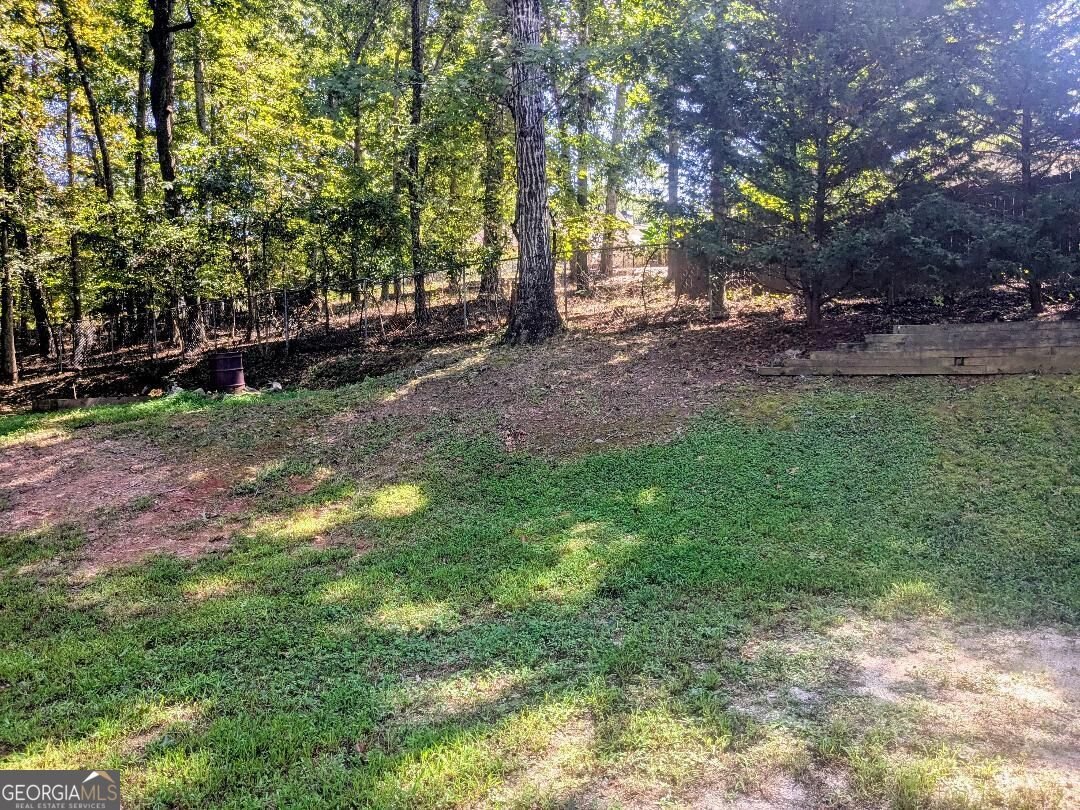 35 Paces Landing Lane Newnan - Photo 22