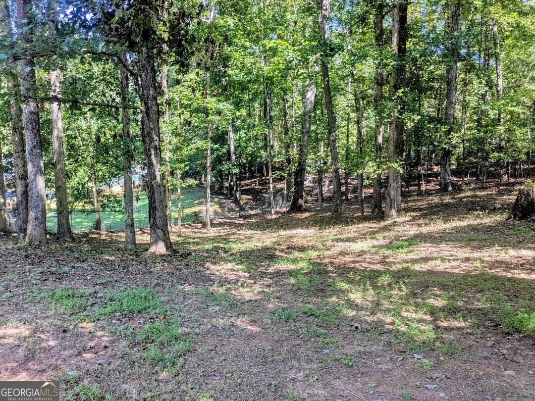 35 Paces Landing Lane Newnan - Photo 23