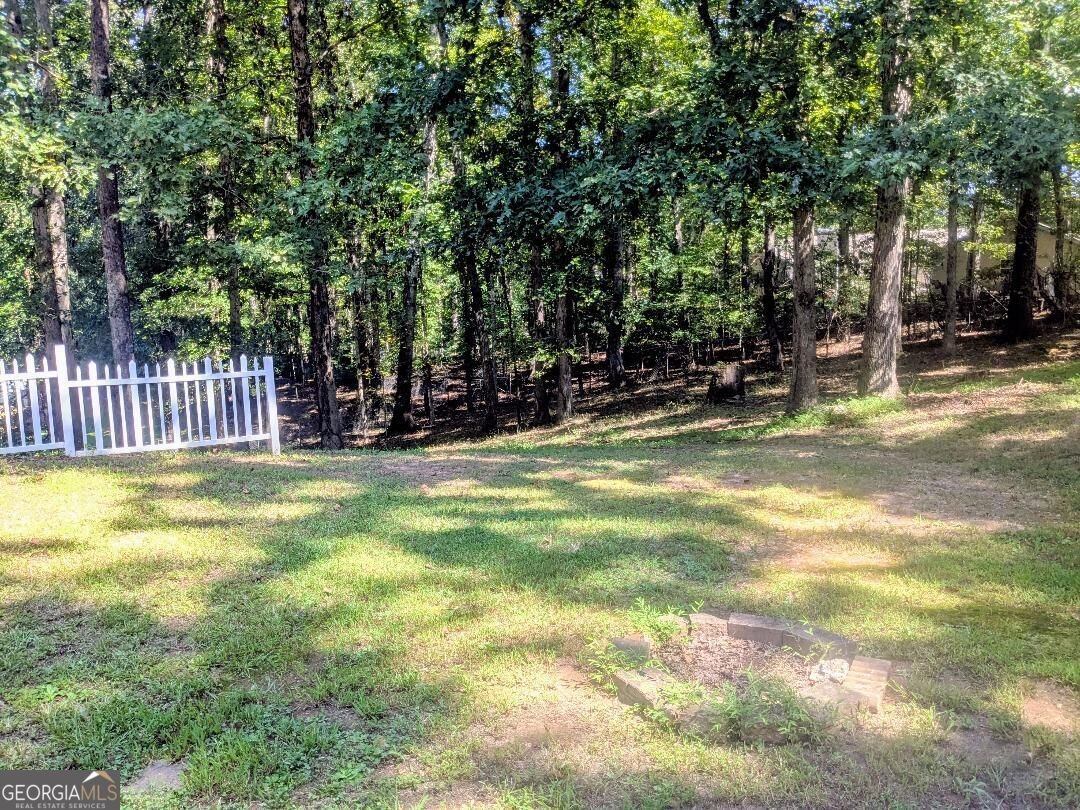 35 Paces Landing Lane Newnan - Photo 24