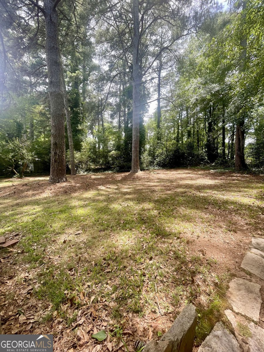 1537 Sagewood Circle Stone Mountain - Photo 6