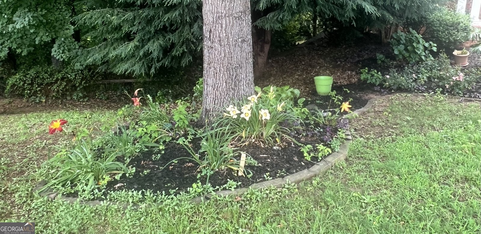 352 Park Creek Ridge Woodstock - Photo 55