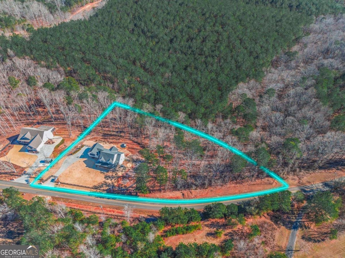 2250 Sperin Road Ball Ground - Photo 54