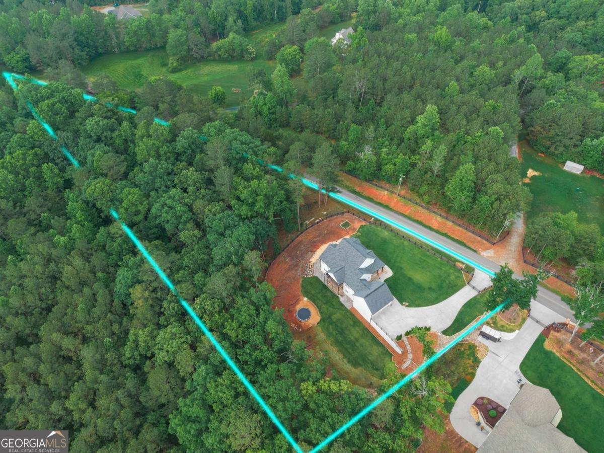 2250 Sperin Road Ball Ground - Photo 8