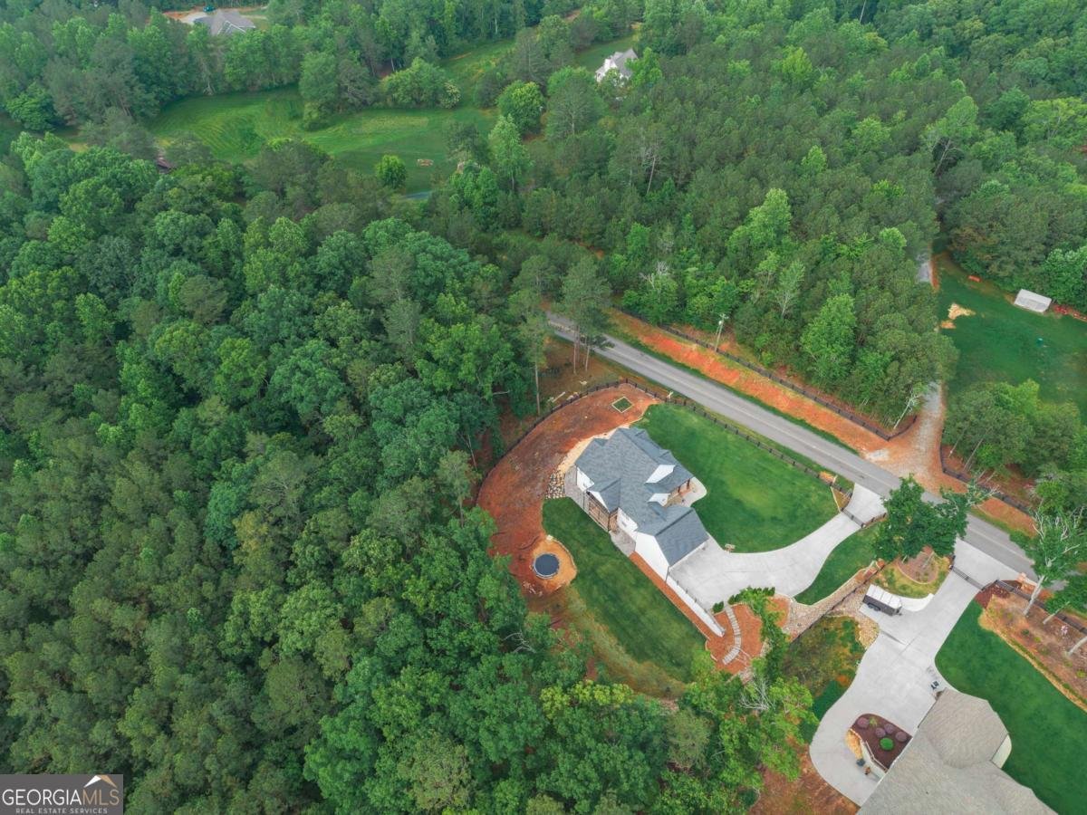 2250 Sperin Road Ball Ground - Photo 9
