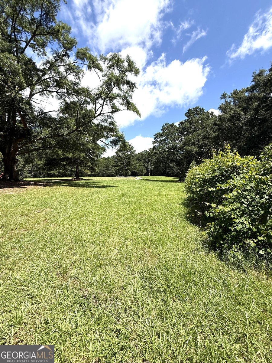 725 Musgrove Road Griffin - Photo 45