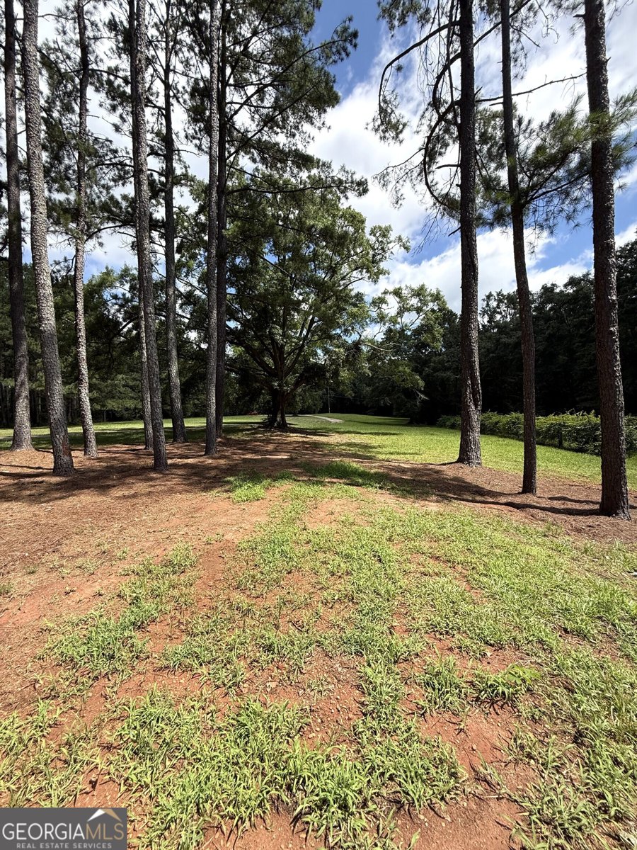 725 Musgrove Road Griffin - Photo 47