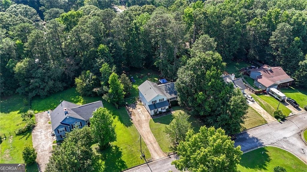 2114 Lotus Point Drive Lithia Springs - Photo 46