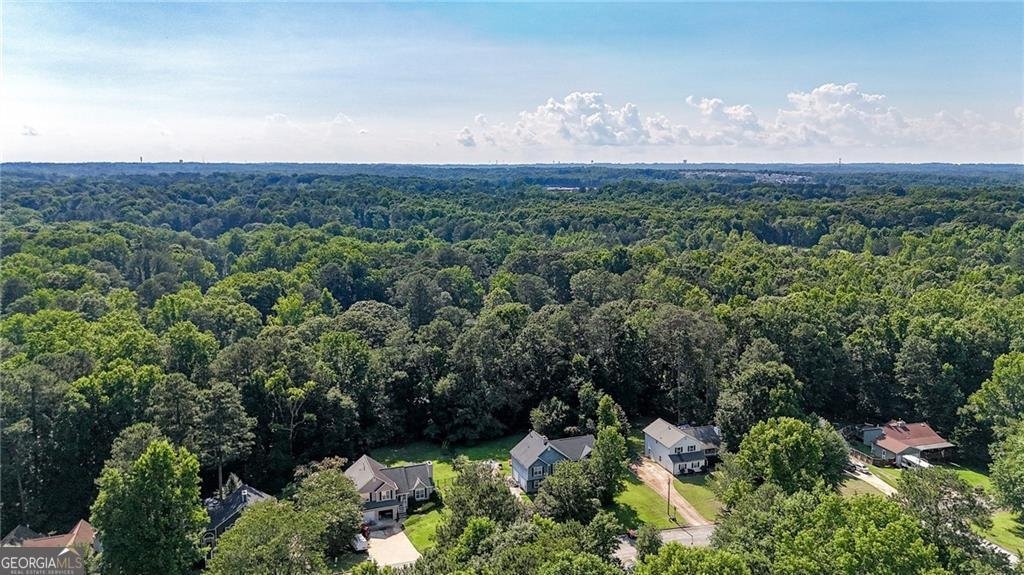 2114 Lotus Point Drive Lithia Springs - Photo 48