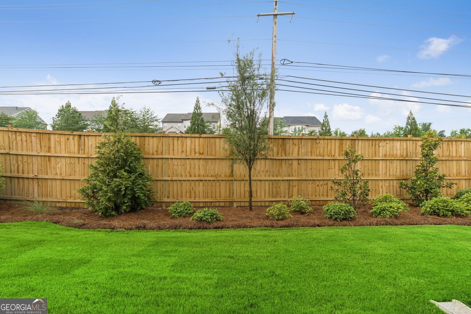 305 Beebalm Street Woodstock - Photo 19
