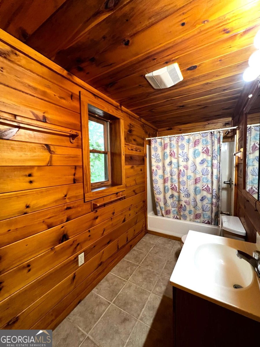 187 Tiffany Lane Mineral Bluff - Photo 35