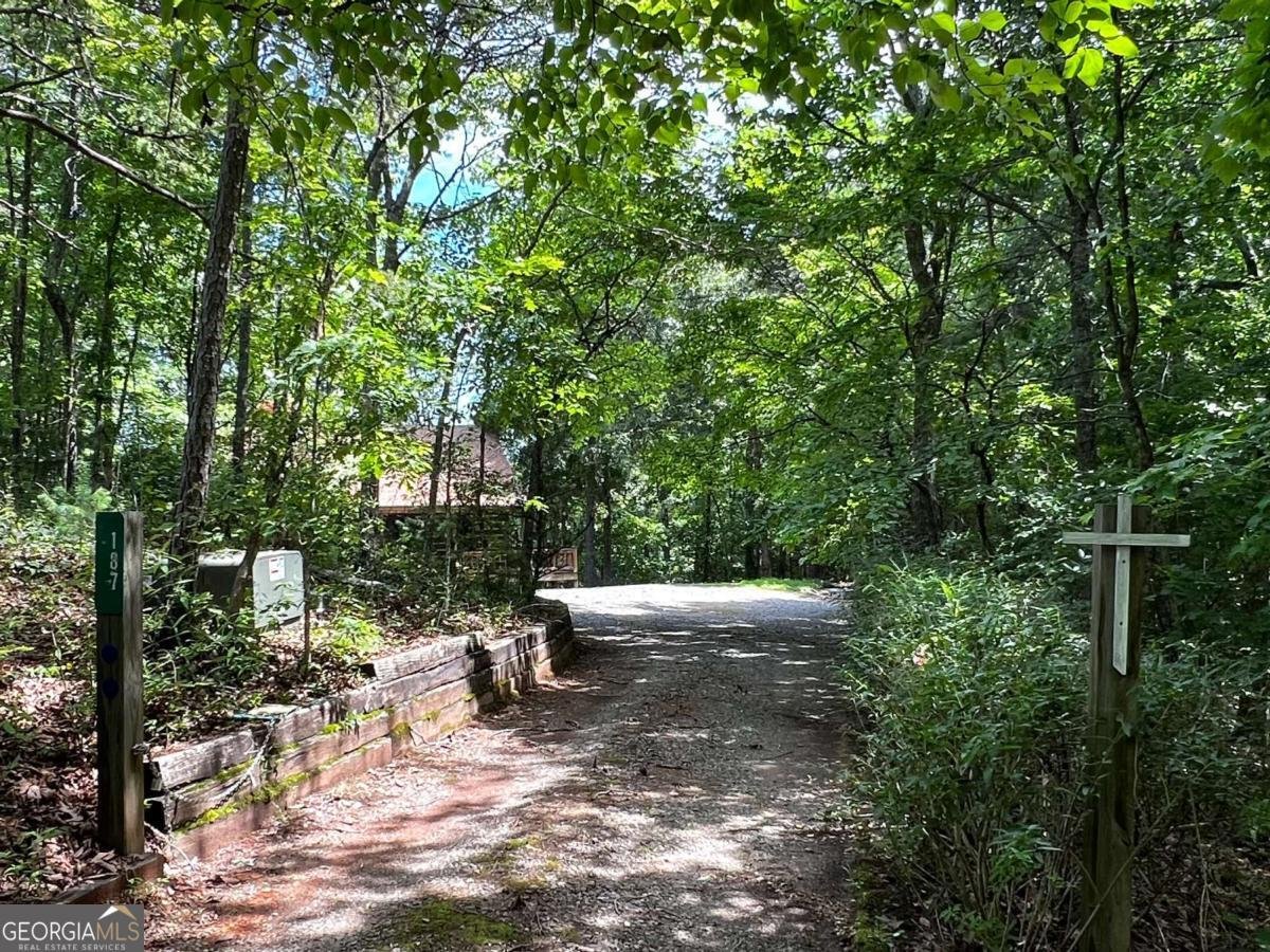187 Tiffany Lane Mineral Bluff - Photo 46