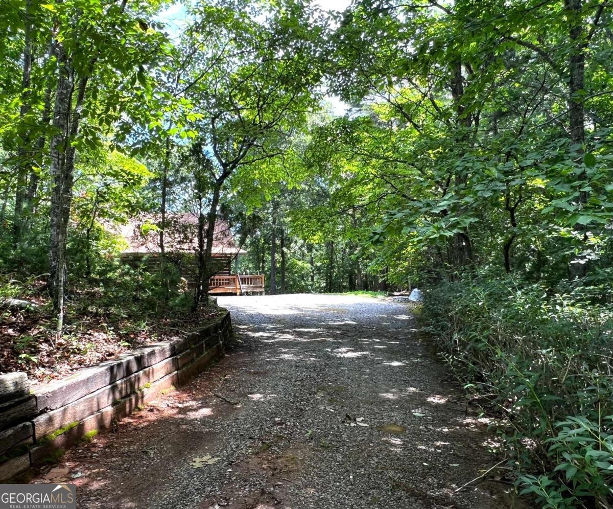 187 Tiffany Lane Mineral Bluff - Photo 47