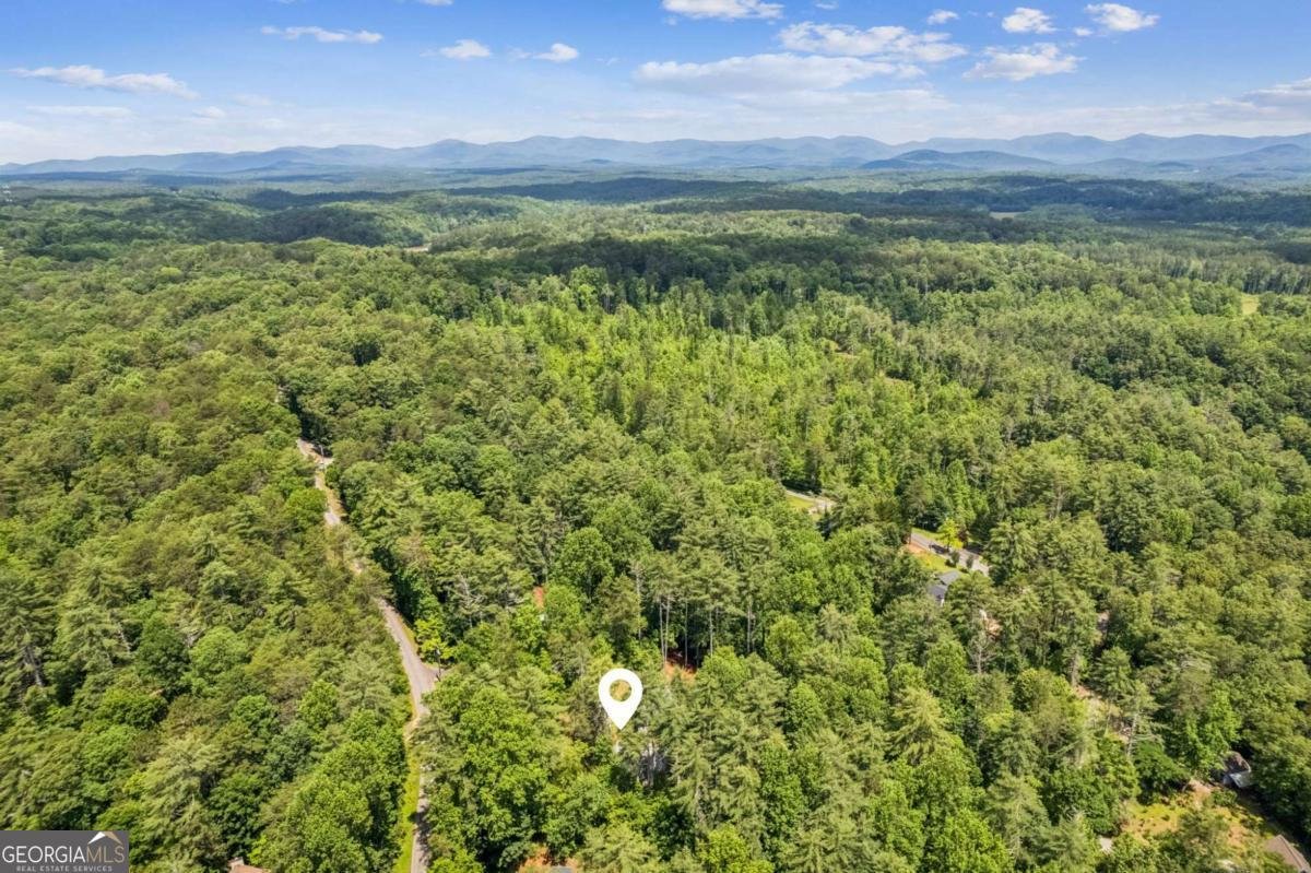 375 Deerfield Drive Dahlonega - Photo 9