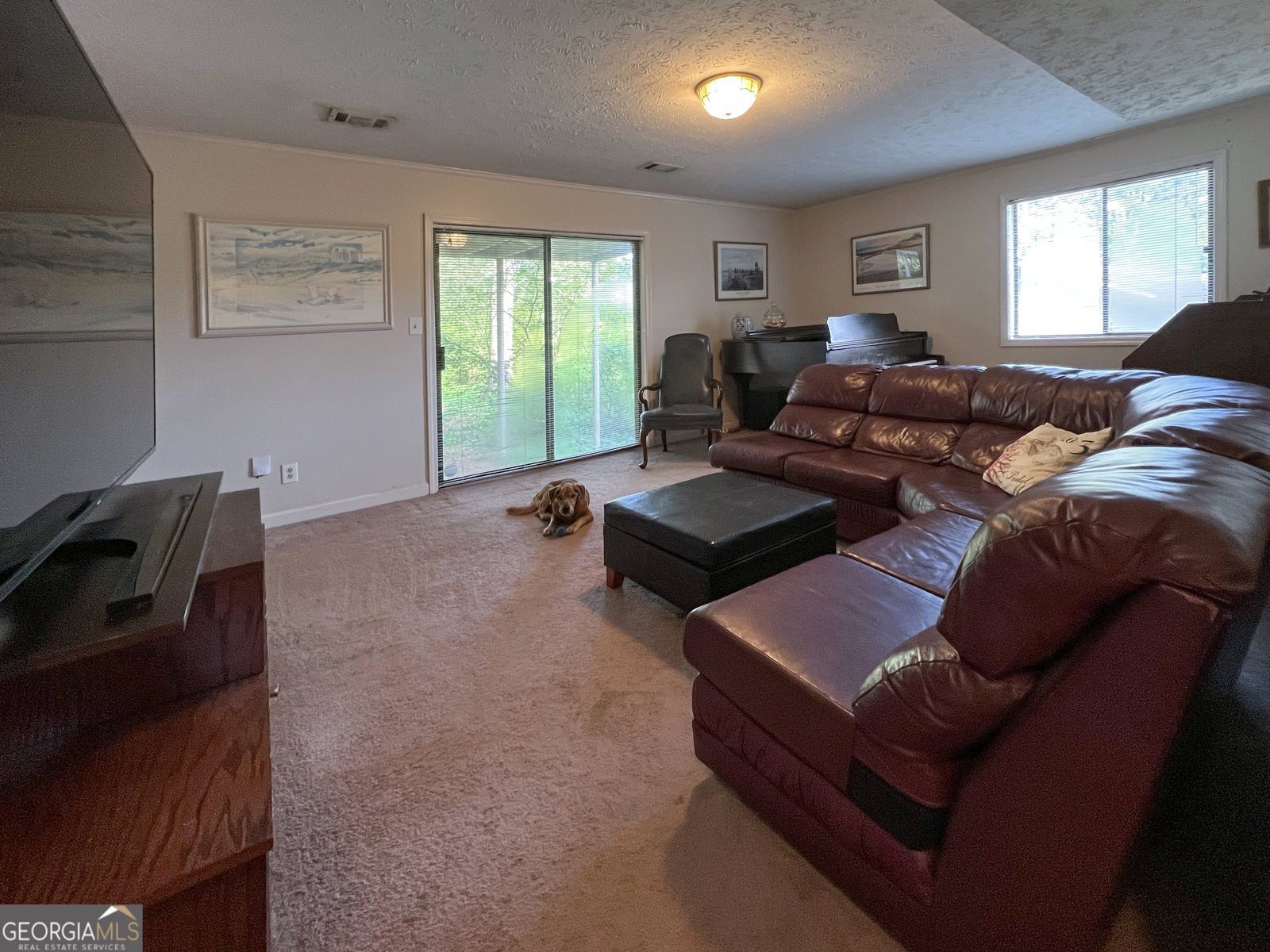394 Ansley Brook Drive Lawrenceville - Photo 25