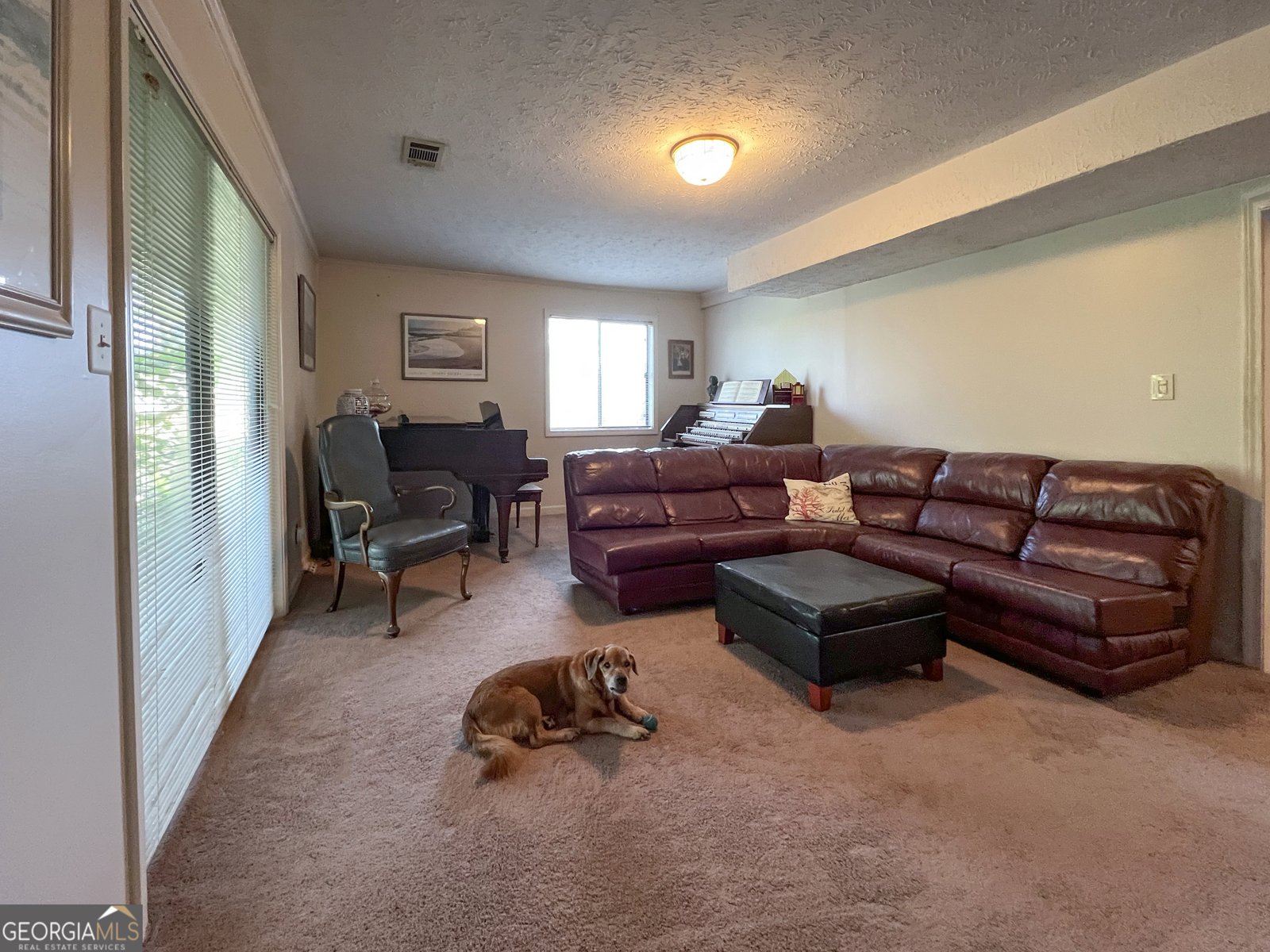 394 Ansley Brook Drive Lawrenceville - Photo 26