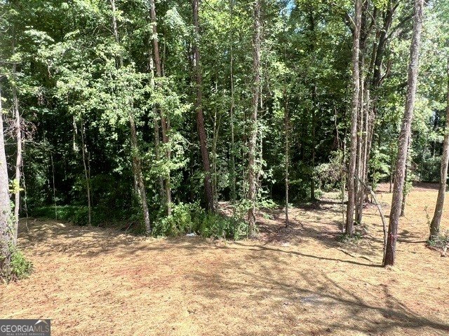 318 Stonington Drive Mount Airy - Photo 37