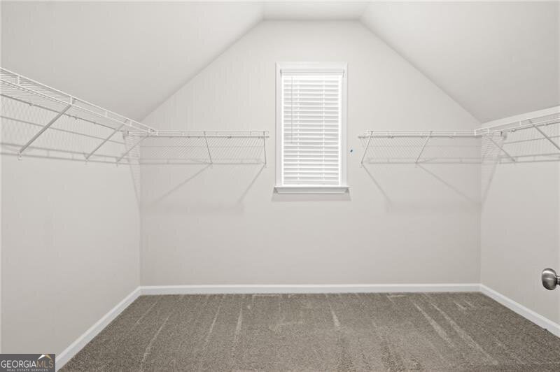 169 Carmichael Drive Canton - Photo 66