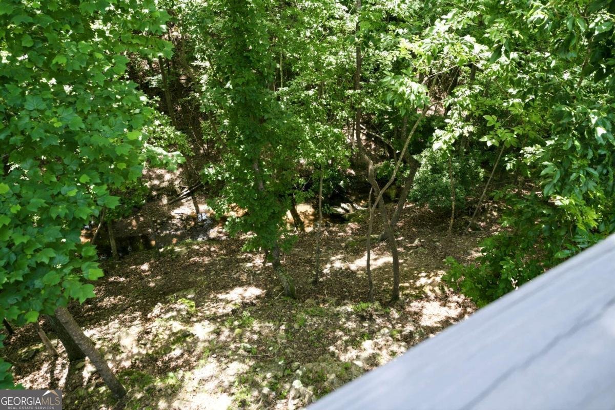 220 Lakeside Drive Waleska - Photo 38