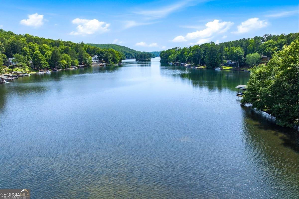 220 Lakeside Drive Waleska - Photo 45