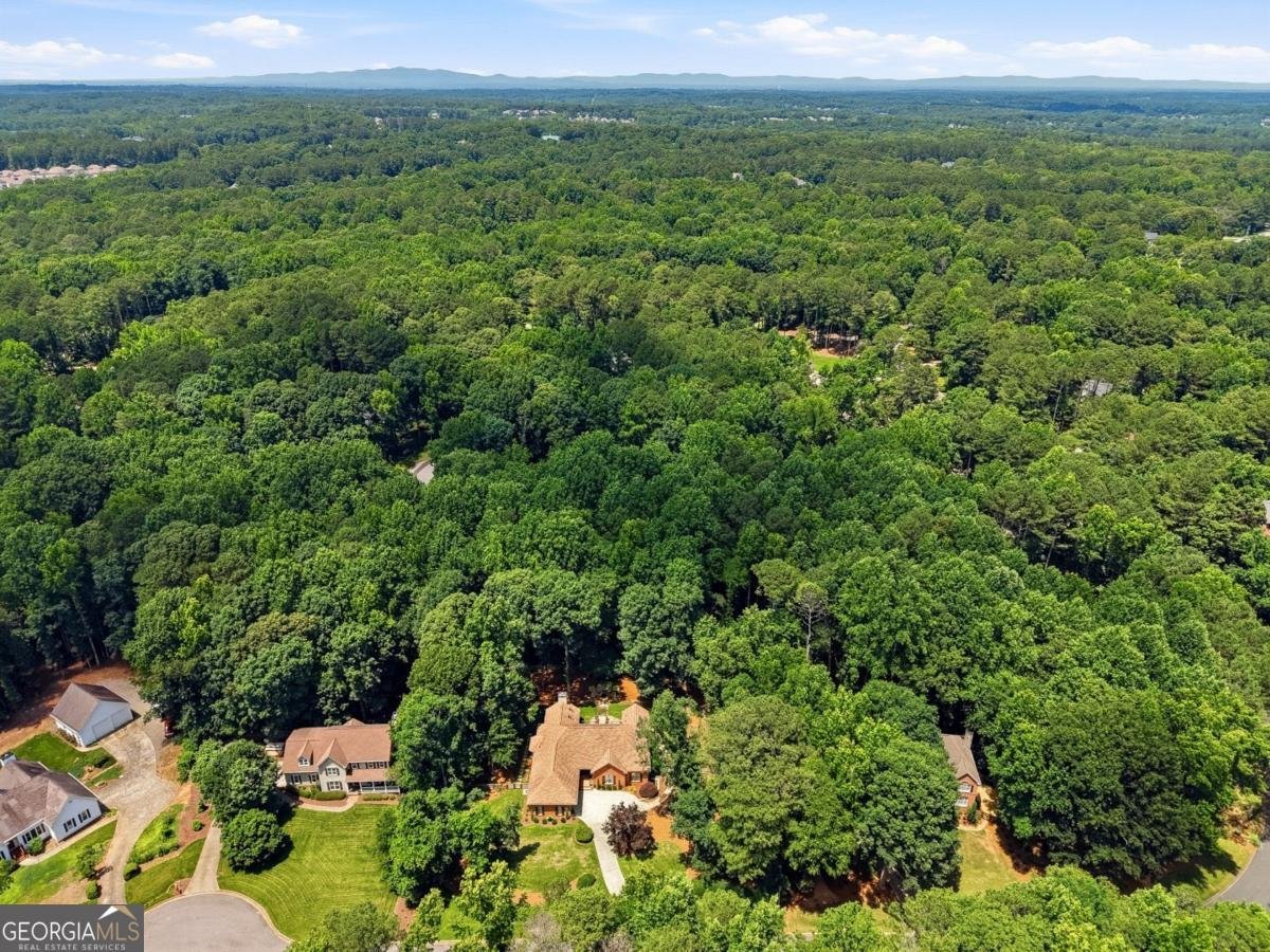 6530 Calamar Drive Cumming - Photo 43