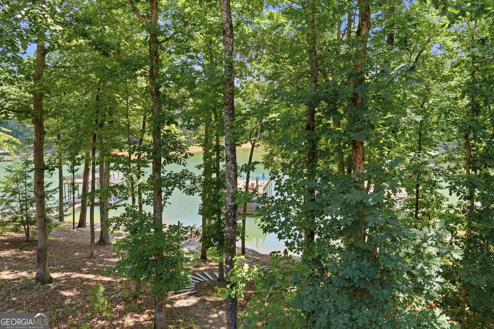 6029 Shadburn Ferry Road Buford - Photo 61