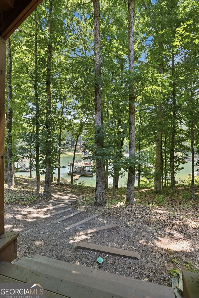 6029 Shadburn Ferry Road Buford - Photo 64