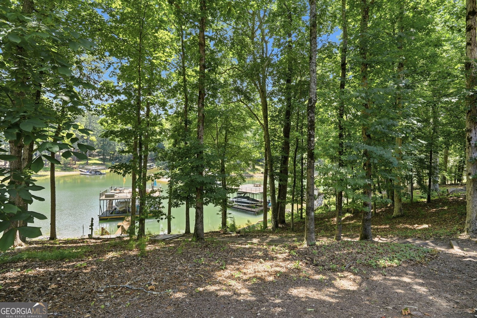6029 Shadburn Ferry Road Buford - Photo 65