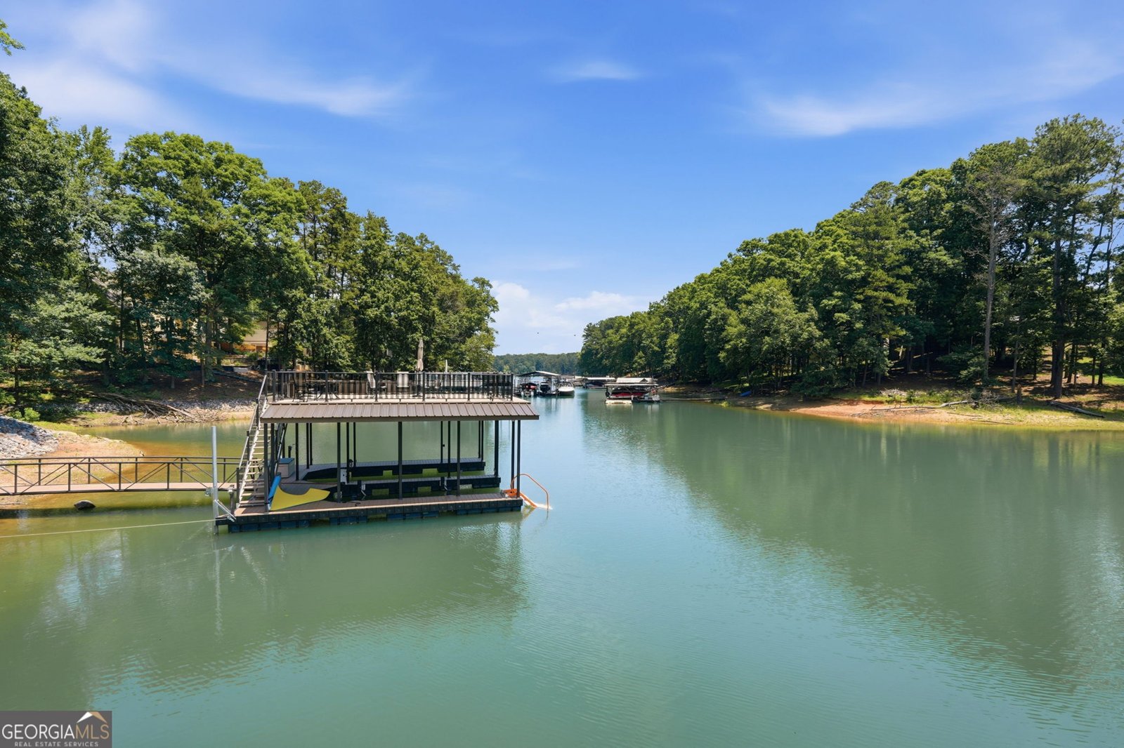 6029 Shadburn Ferry Road Buford - Photo 68