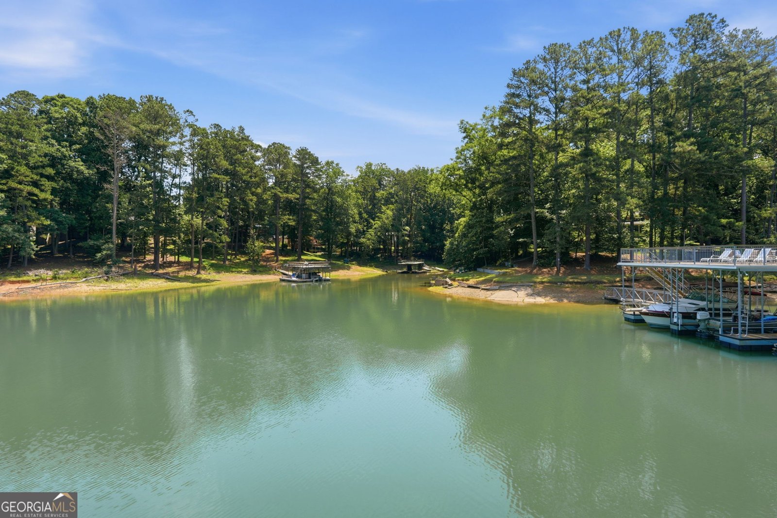 6029 Shadburn Ferry Road Buford - Photo 69