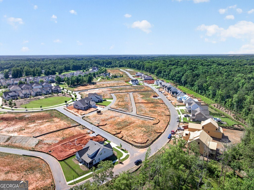 255 Lake Vista Drive Statham - Photo 9